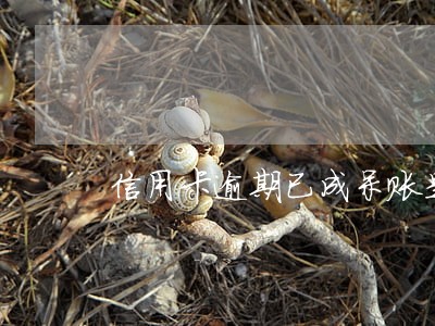 信用卡逾期已成呆账是怎么回事 信用卡逾期已成呆账是怎么回事