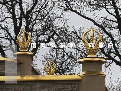 信用卡逾期已成黑户
