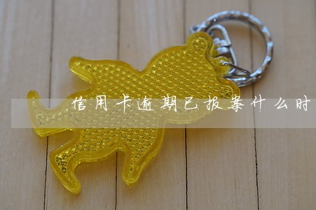 信用卡逾期已报案什么时候抓人