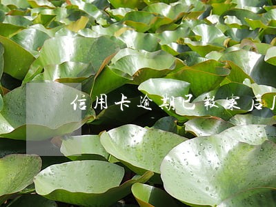 信用卡逾期已报案后几天立案 信用卡逾期已报案后几天立案