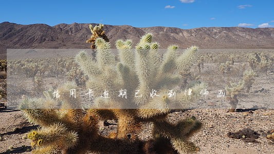 信用卡逾期已收到律师函
