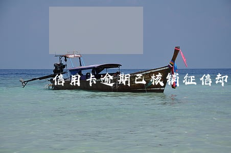 信用卡逾期已核销征信却显示呆账 信用卡逾期已核销征信却显示呆账