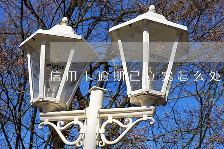 信用卡逾期已立案怎么处理 信用卡逾期已立案怎么处理