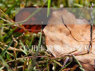 信用卡逾期已立案程序 信用卡逾期已立案程序