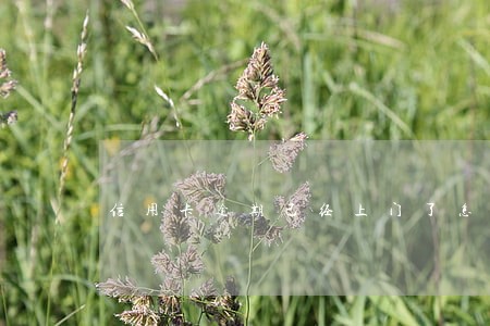 信用卡逾期已经上门了怎么办 信用卡逾期已经上门了怎么办
