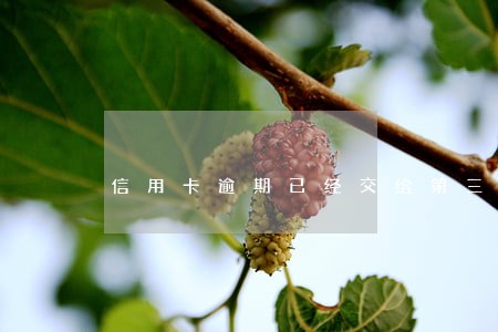 信用卡逾期已经交给第三方