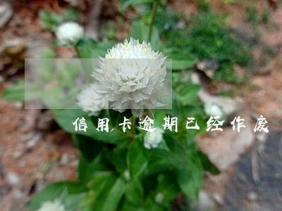 信用卡逾期已经作废 信用卡逾期已经作废