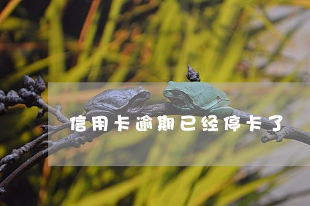 信用卡逾期已经停卡了 信用卡逾期已经停卡了