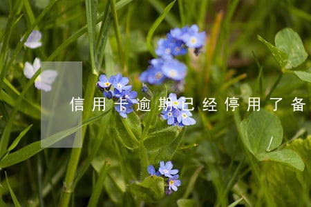 信用卡逾期已经停用了备案了
