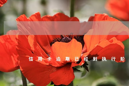 信用卡逾期已经到执行阶段