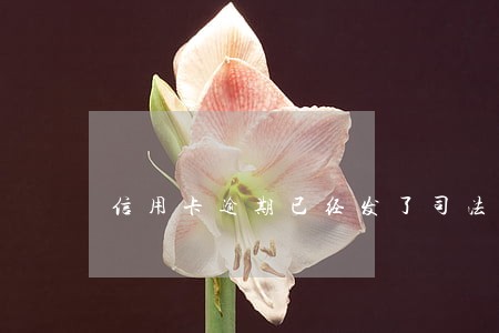 信用卡逾期已经发了司法信函 信用卡逾期已经发了司法信函