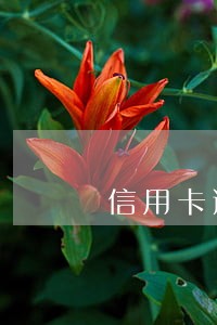 信用卡逾期已经失效了