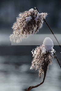 信用卡逾期已经封卡怎么办 信用卡逾期已经封卡怎么办