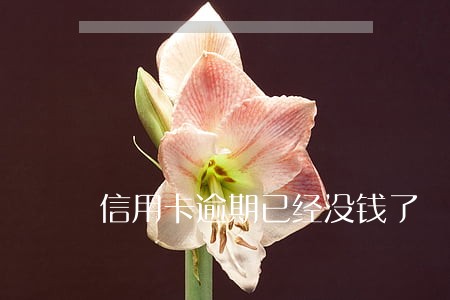信用卡逾期已经没钱了 信用卡逾期已经没钱了
