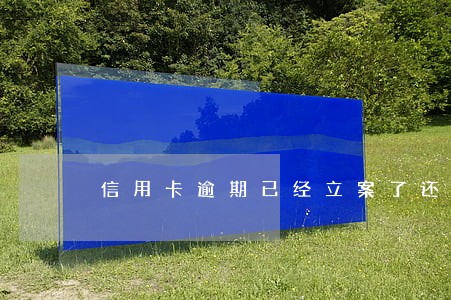 信用卡逾期已经立案了还有补救吗