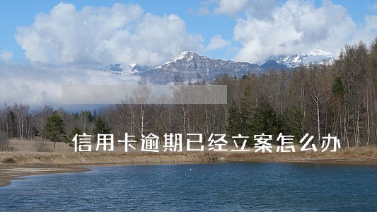 信用卡逾期已经立案怎么办