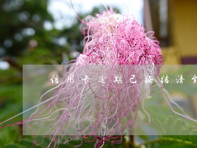 信用卡逾期已经结清能否继续使用 信用卡逾期已经结清能否继续使用