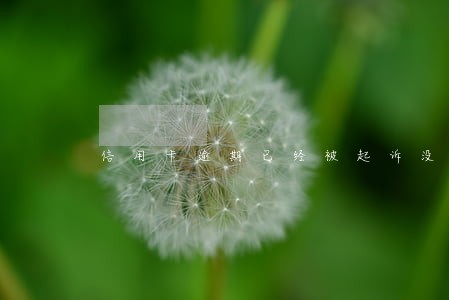 信用卡逾期已经被起诉没有应诉 信用卡逾期已经被起诉没有应诉