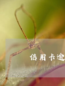 信用卡逾期已经被逮捕了怎么办
