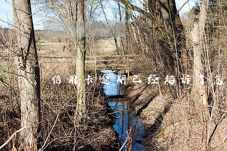 信用卡逾期已经起诉了怎么还钱 信用卡逾期已经起诉了怎么还钱
