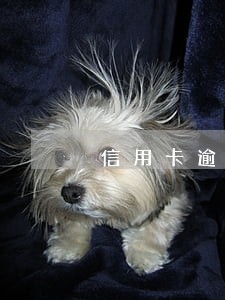 信用卡逾期已经转入法务部门 信用卡逾期已经转入法务部门