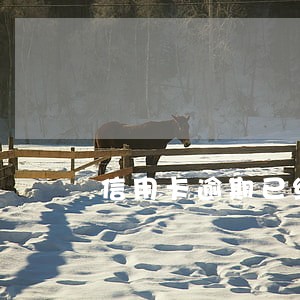 信用卡逾期已经过了3年