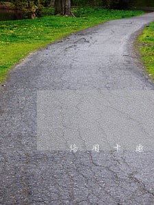 信用卡逾期已经还完可以买车吗 信用卡逾期已经还完可以买车吗