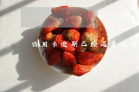 信用卡逾期已经还最低还款额 信用卡逾期已经还最低还款额