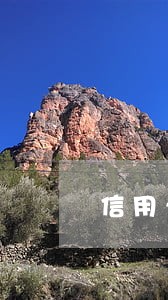 信用卡逾期已经还款被停用 信用卡逾期已经还款被停用