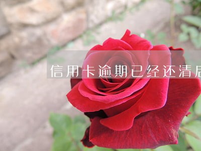 信用卡逾期已经还清后 信用卡逾期已经还清后