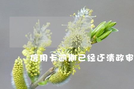 信用卡逾期已经还清政审有影响吗