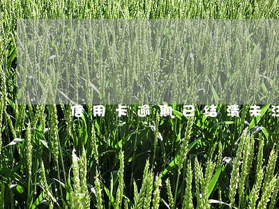 信用卡逾期已结清未注销卡号 信用卡逾期已结清未注销卡号