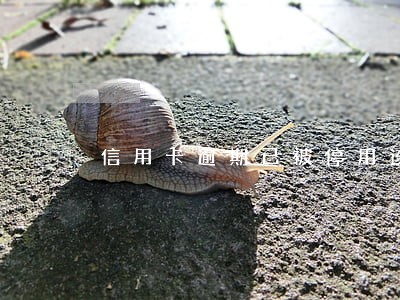 信用卡逾期已被停用该怎么 信用卡逾期已被停用该怎么