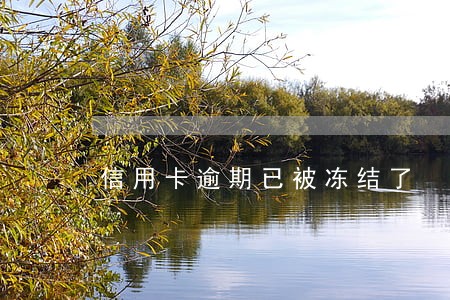 信用卡逾期已被冻结了 信用卡逾期已被冻结了