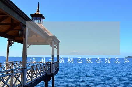 信用卡逾期已被冻结怎么还款 信用卡逾期已被冻结怎么还款