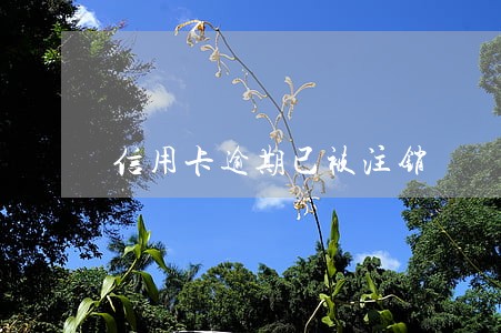 信用卡逾期已被注销 信用卡逾期已被注销