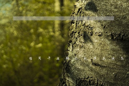 信用卡逾期已起诉我该怎么办 信用卡逾期已起诉我该怎么办