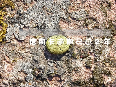 信用卡逾期已过2年