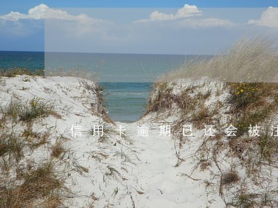 信用卡逾期已还会被注销吗 信用卡逾期已还会被注销吗