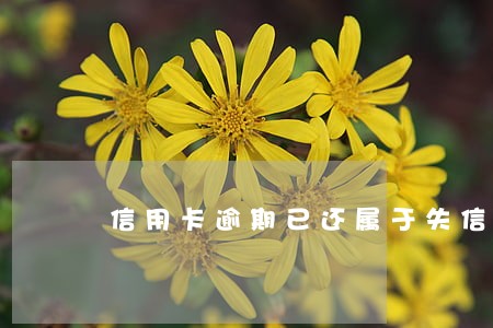 信用卡逾期已还属于失信吗 信用卡逾期已还属于失信吗