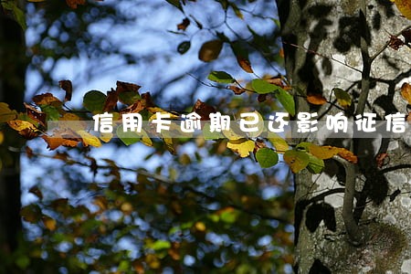 信用卡逾期已还影响征信吗 信用卡逾期已还影响征信吗