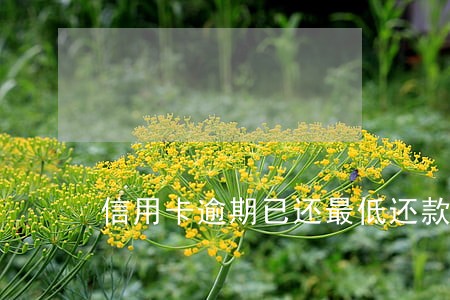 信用卡逾期已还最低还款额