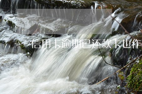 信用卡逾期已还款卡也作废了 信用卡逾期已还款卡也作废了