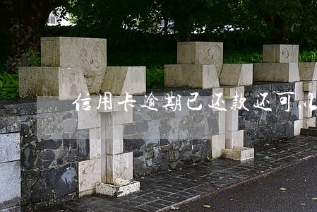 信用卡逾期已还款还可以使用不 信用卡逾期已还款还可以使用不