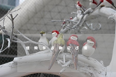 信用卡逾期已还清