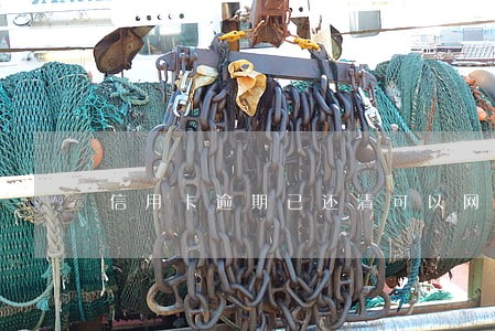 信用卡逾期已还清可以网贷吗 信用卡逾期已还清可以网贷吗