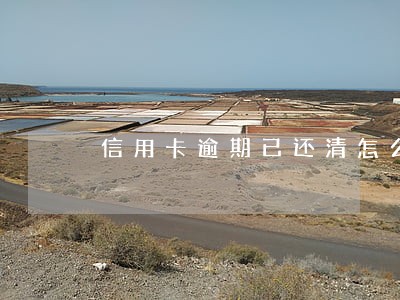 信用卡逾期已还清怎么还显示逾期