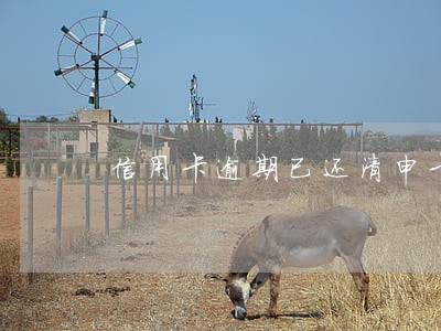 信用卡逾期已还清申卡 信用卡逾期已还清申卡