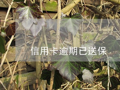 信用卡逾期已送保 信用卡逾期已送保