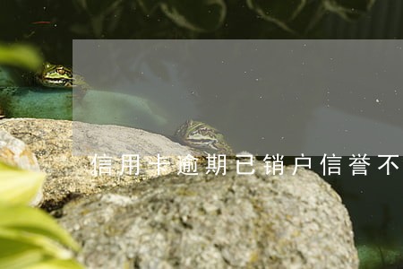 信用卡逾期已销户信誉不良的影响